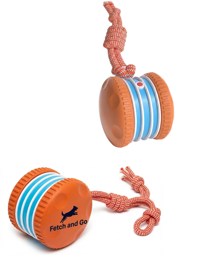 Interactive Fetch Ball