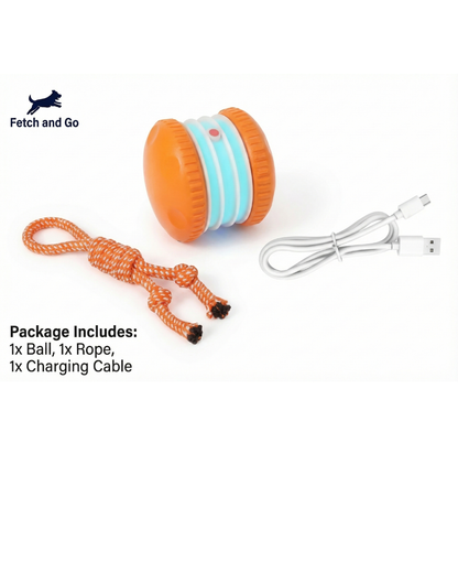 Interactive Fetch Ball