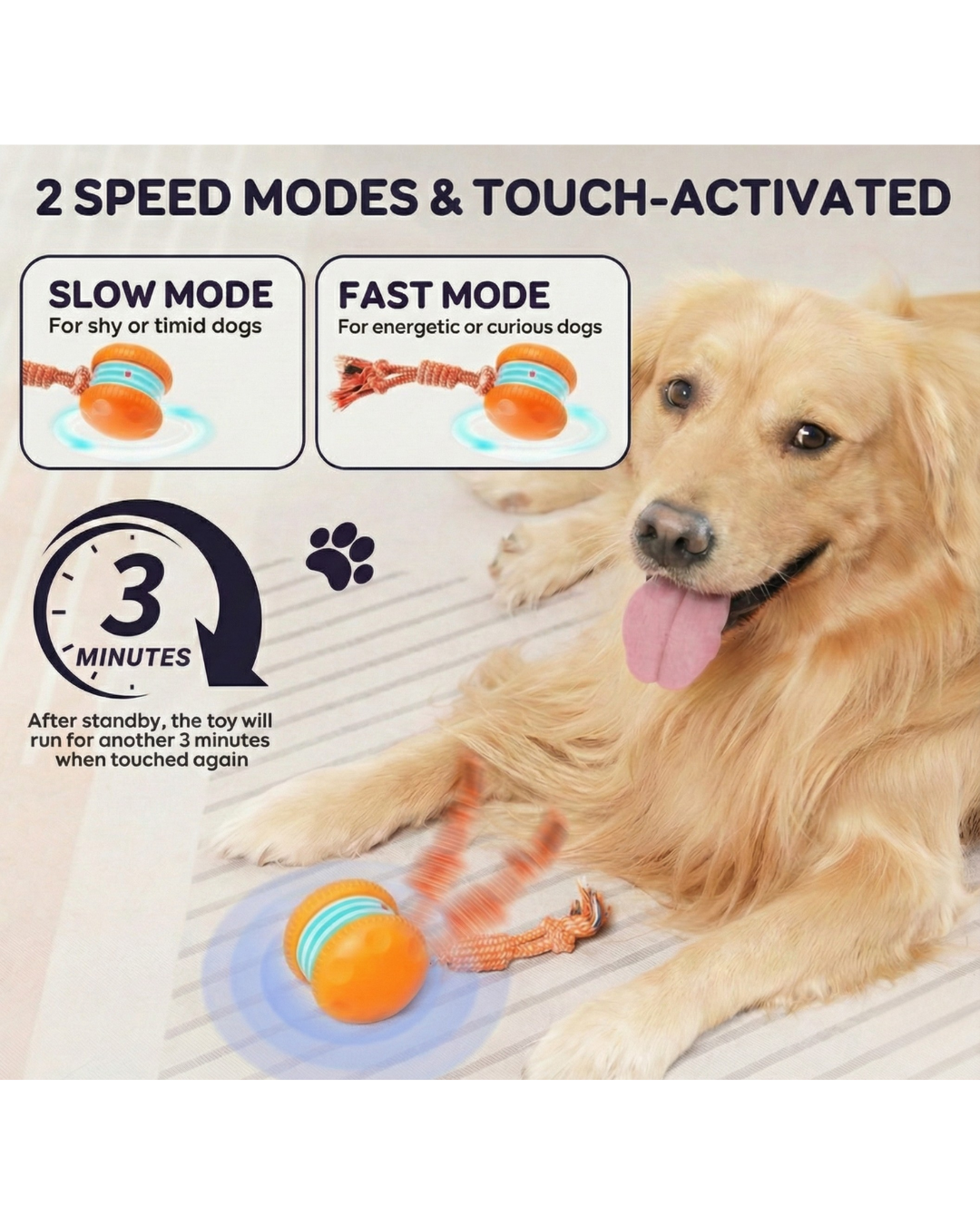 Interactive Fetch Ball