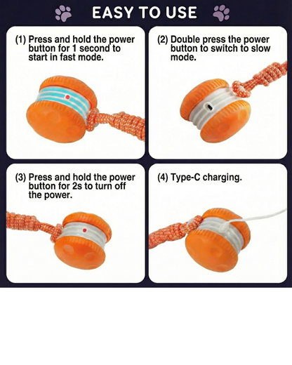 Interactive Fetch Ball