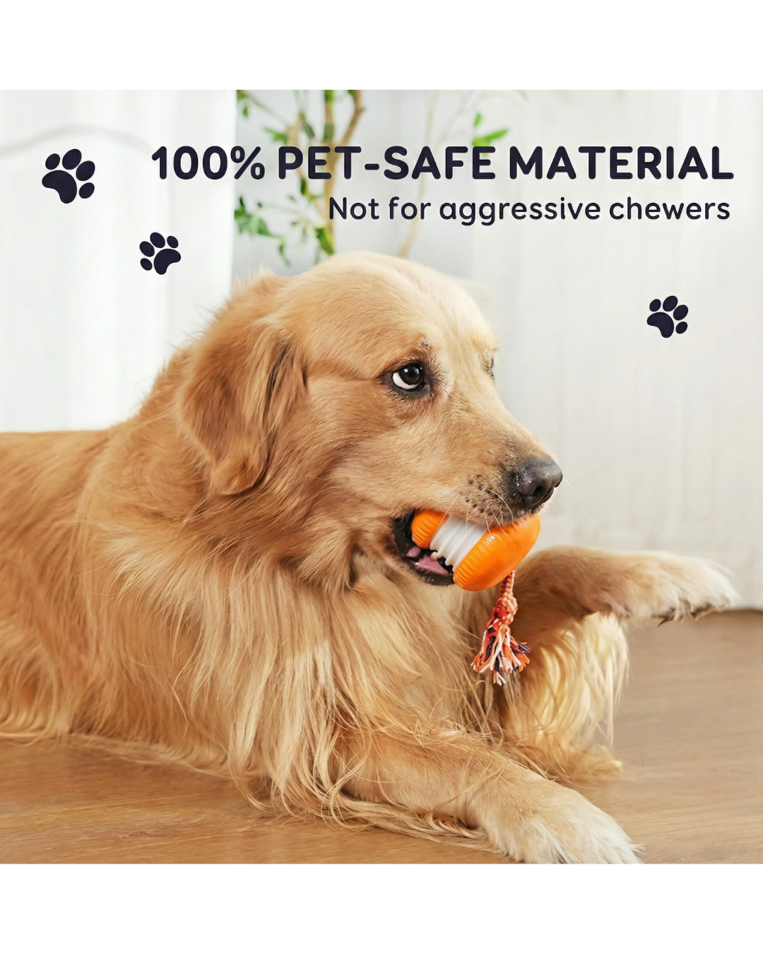 Interactive Fetch Ball