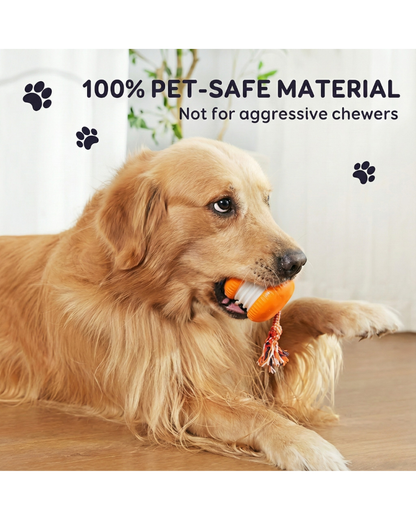 Interactive Fetch Ball